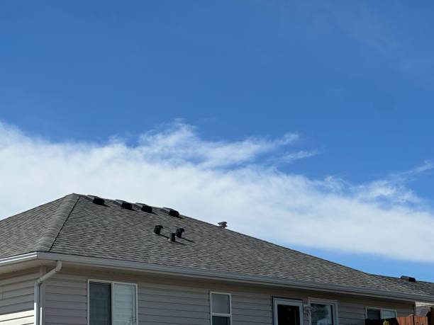 Best Roof Insulation Installation  in North Pembroke, MA